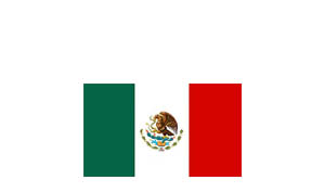 Distribuidor INTRAKAM en México